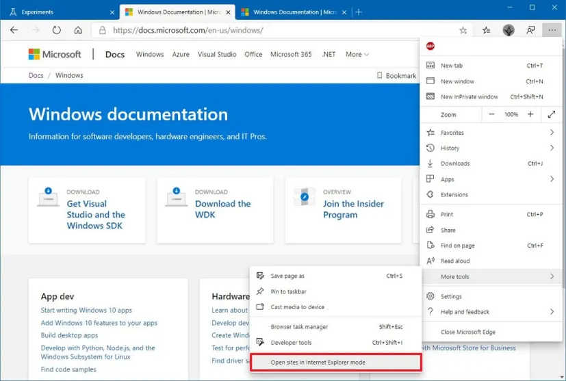 What are the Internet Explorer flags and what are they for? Internet explorer flags